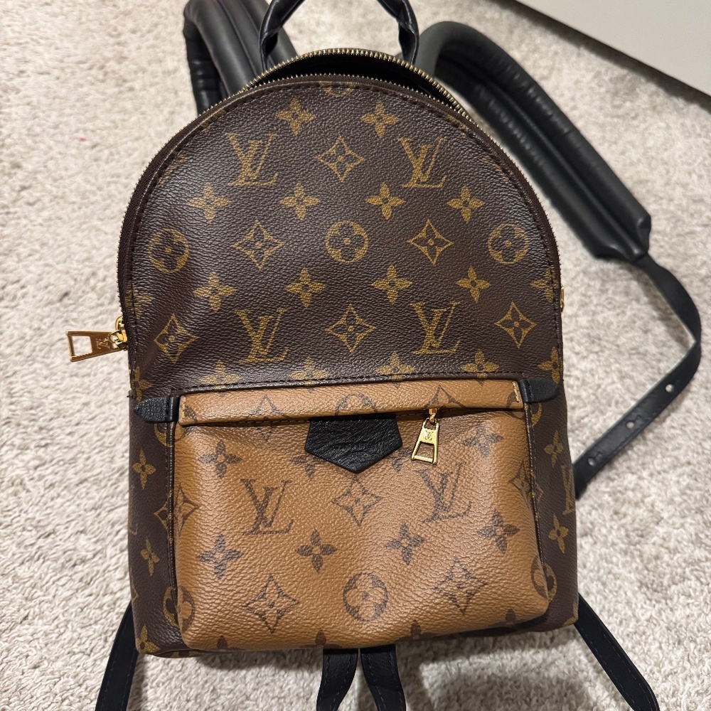 Louis Vuitton Reverse Palm Springs PM Backpack